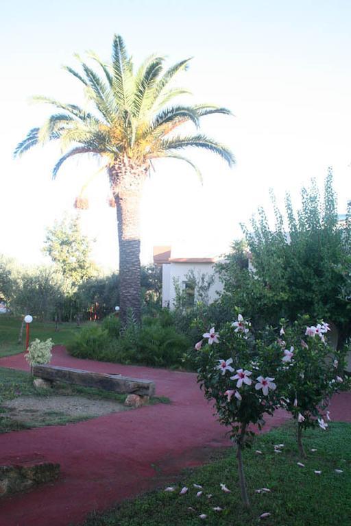 Nea Kydonia Suites & Studios Daratsos Eksteriør billede