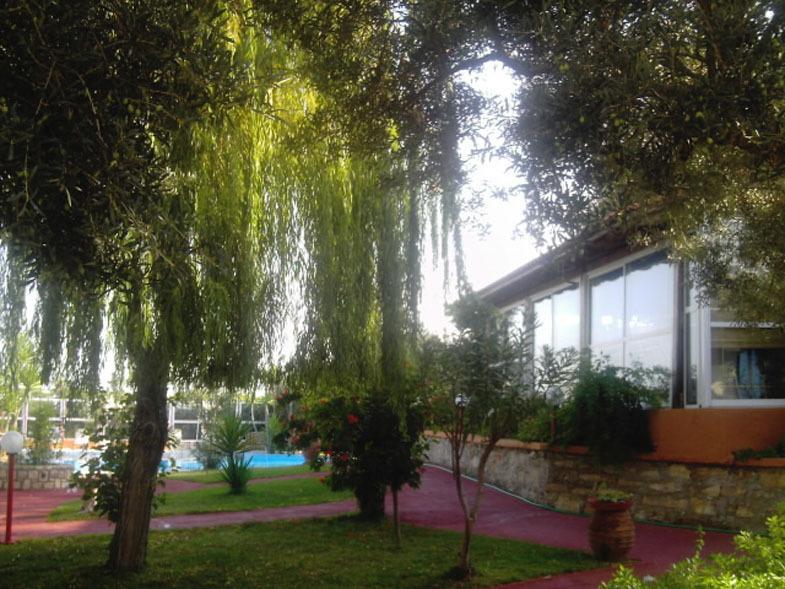 Nea Kydonia Suites & Studios Daratsos Eksteriør billede